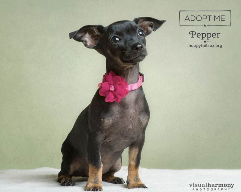Pepper