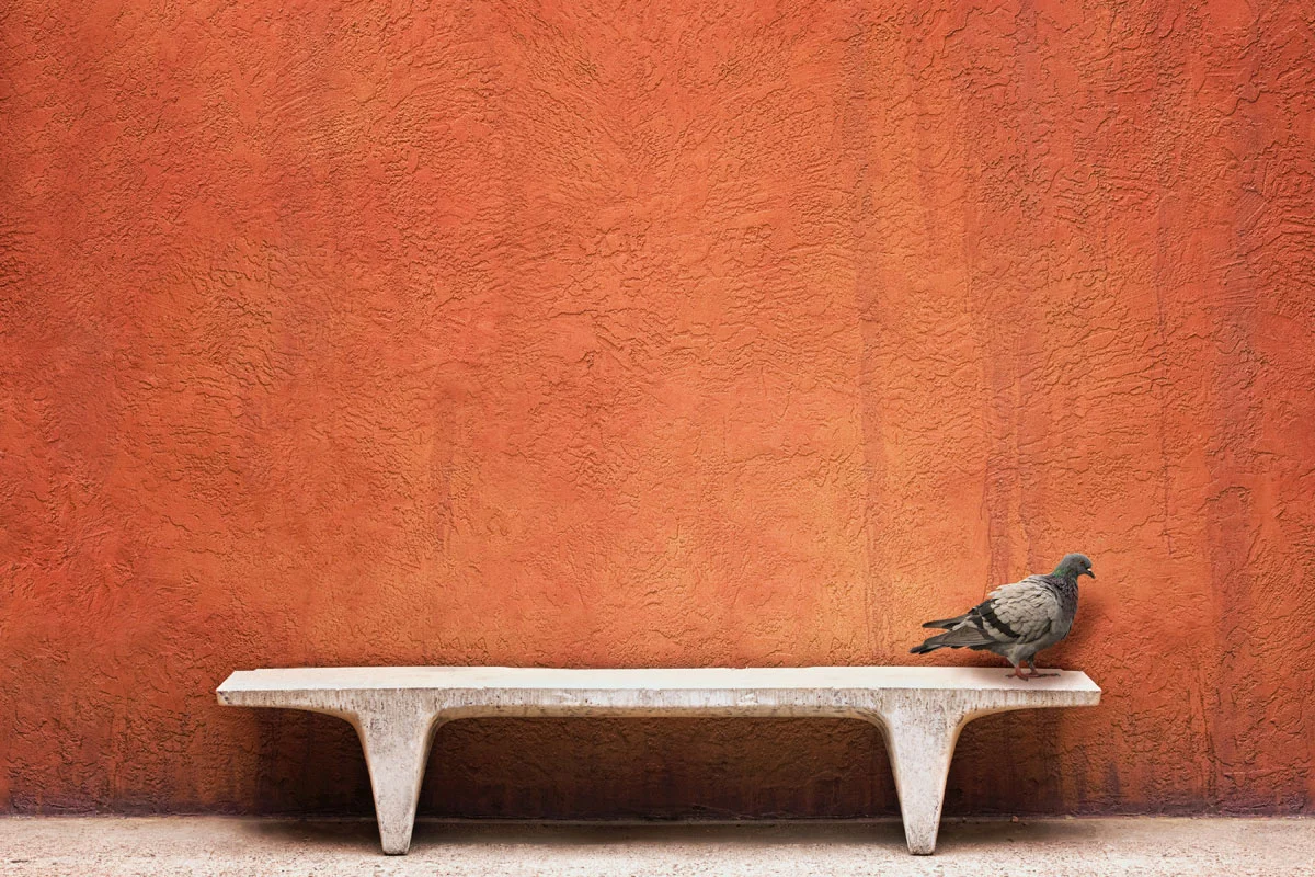 Photography Tip - Isolating Your Subject