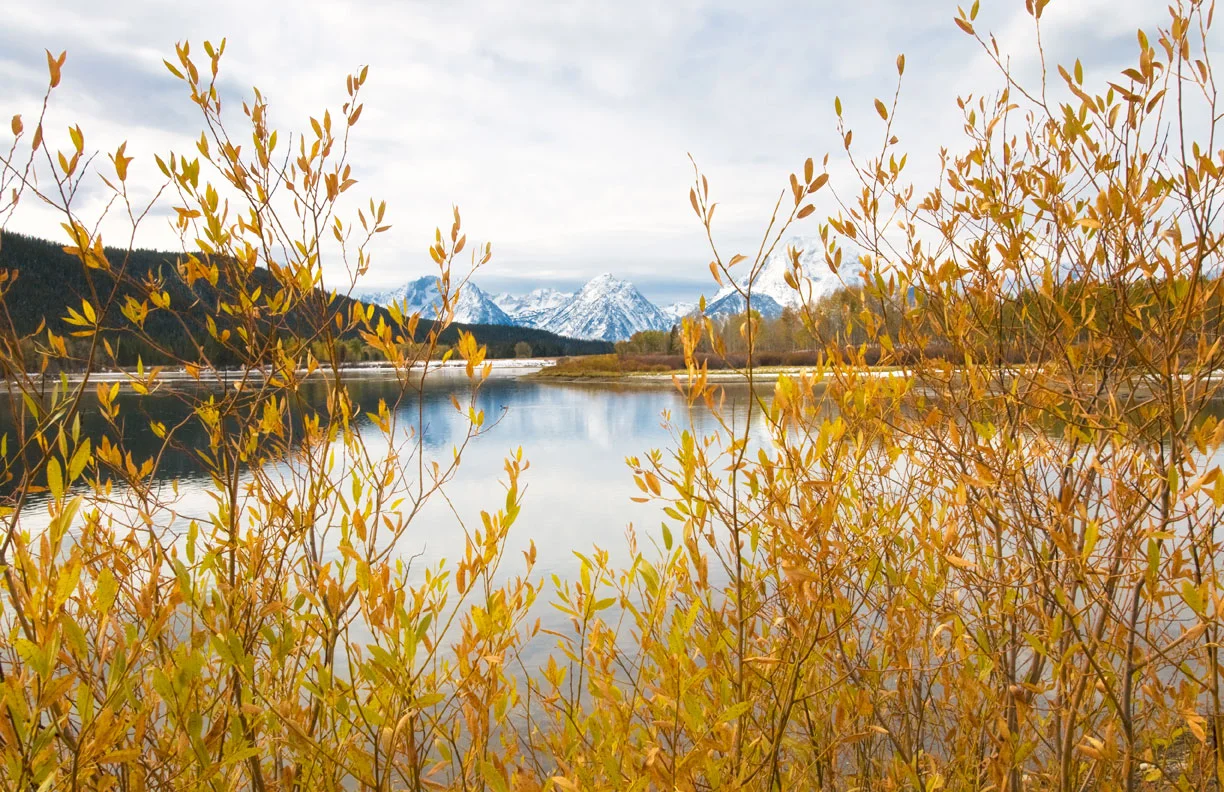 Photography Tip - Framing your Subject