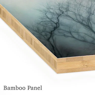branchesbamboopanel.jpg