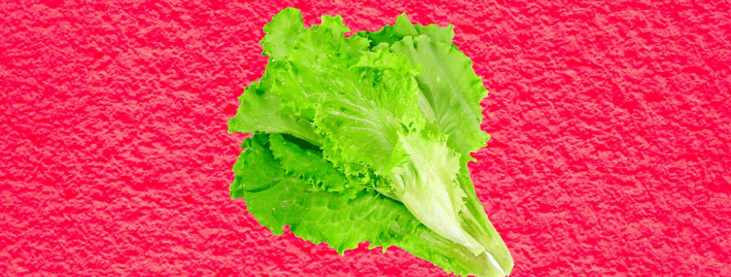 Women Laughing Alone with Salad, by Sheila Callaghan