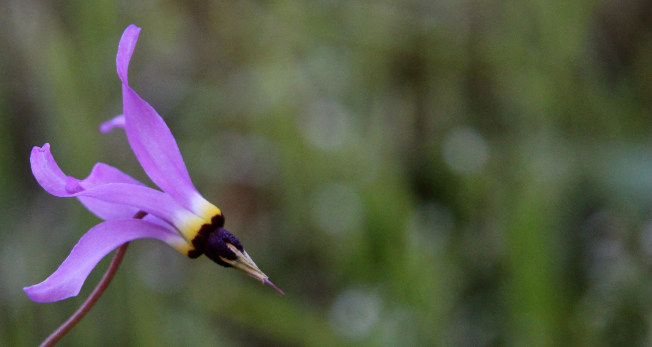 IMG_1637 - Version 2.JPG