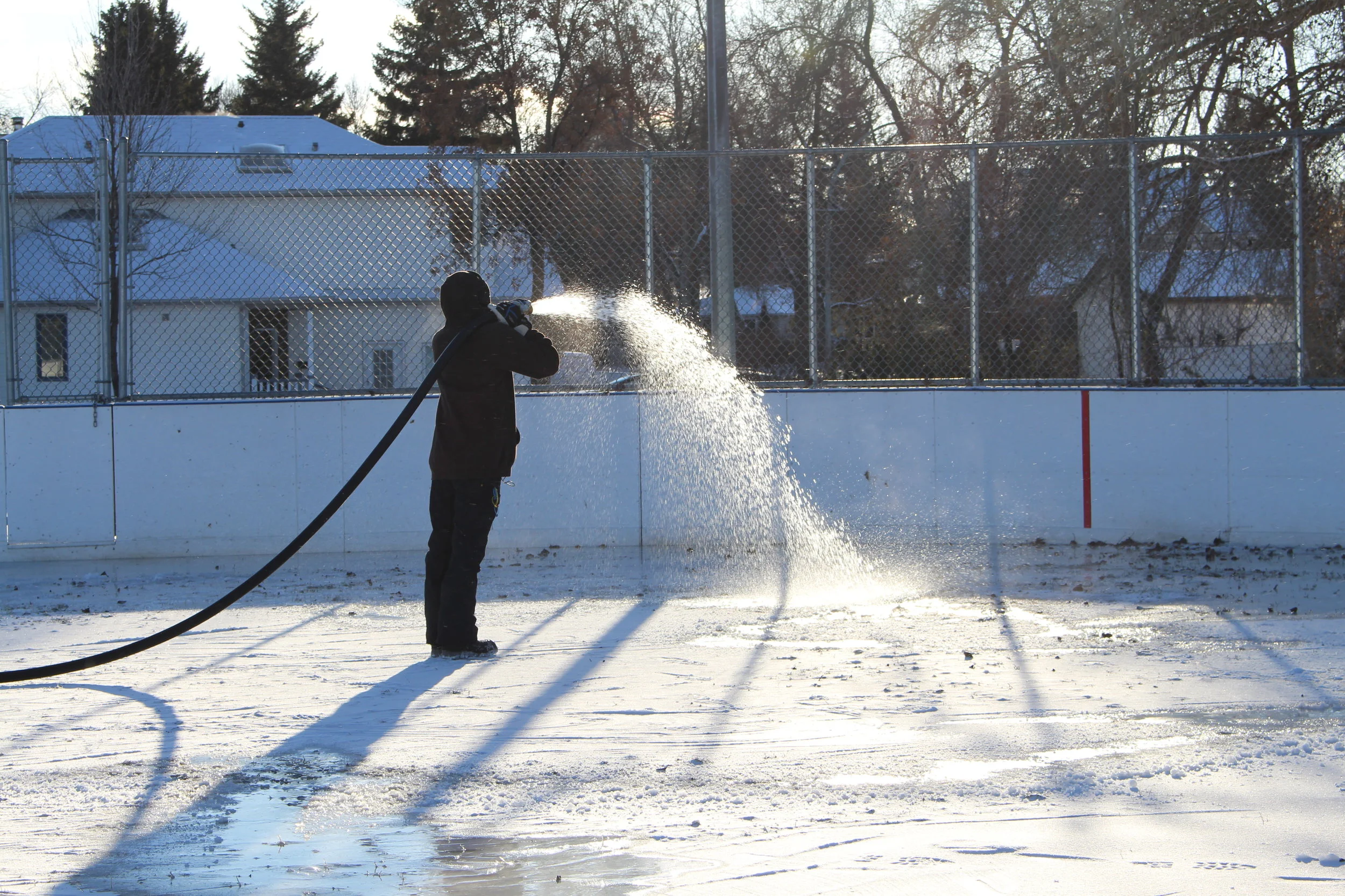 Rink.JPG