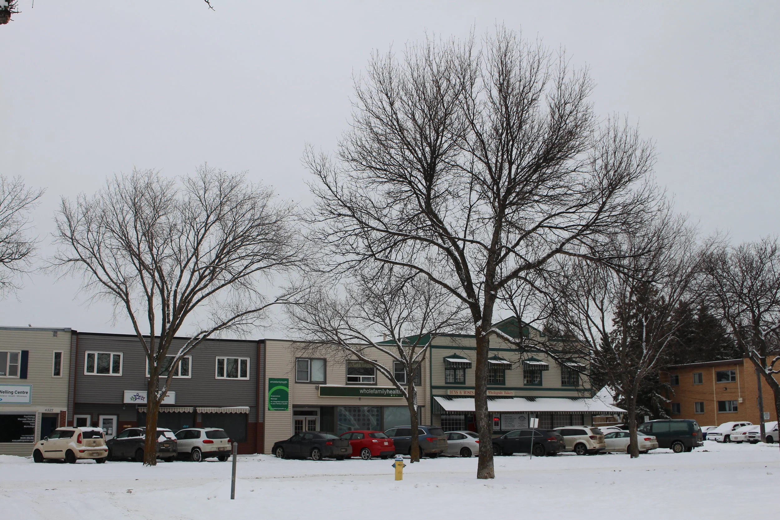 Update on the Main Street Overlay