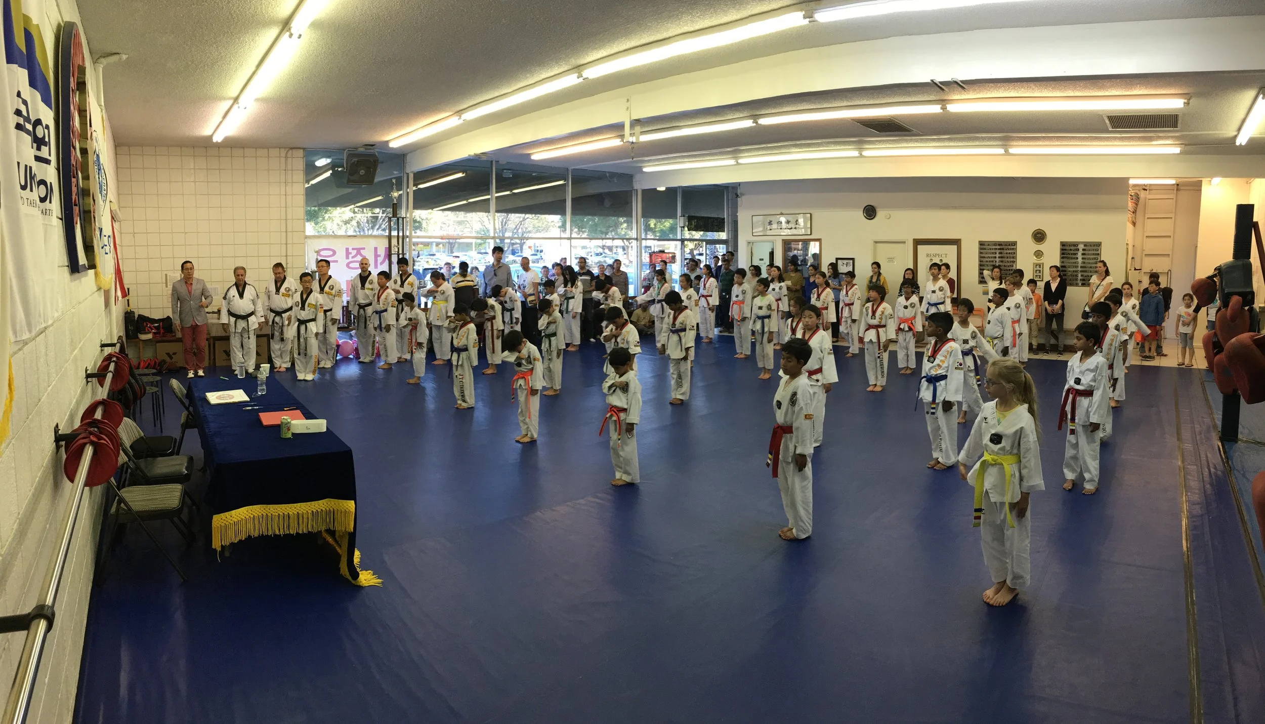 THE COLOR BELT'S PROMOTION TEST