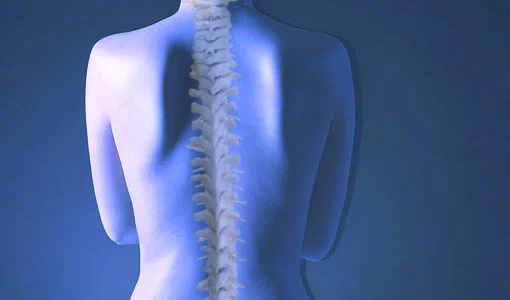 chiropractic-alternative-medicine-1.jpg