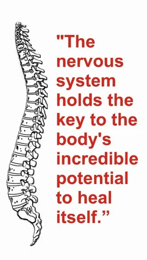 spine.jpg