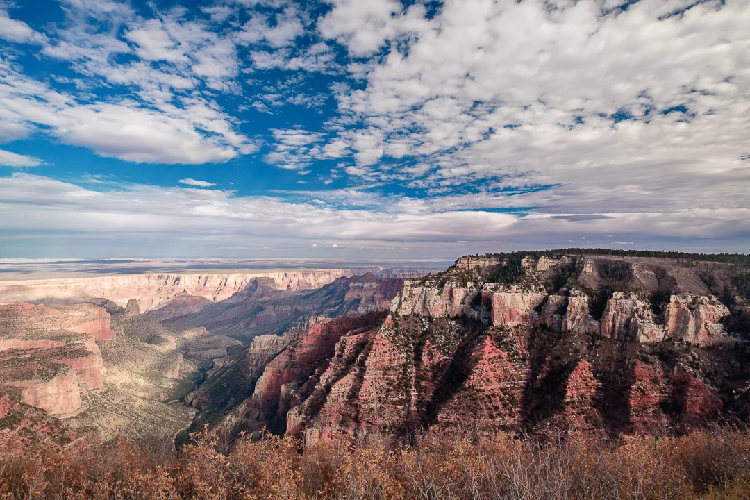 _MG_2647-Edit-2.jpg