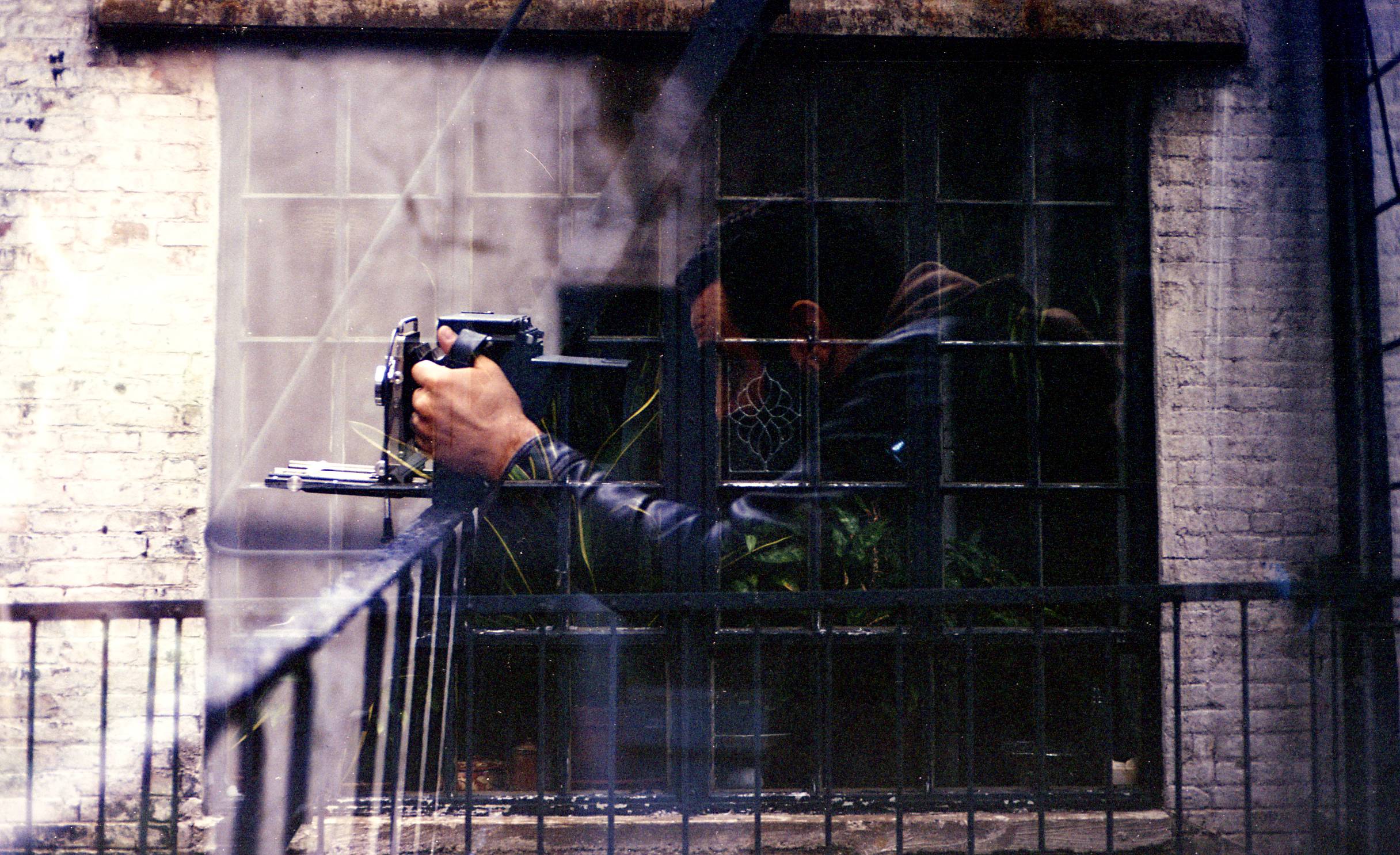 looking through the window. Credit: Devin Blaskovich @blaskovichs 