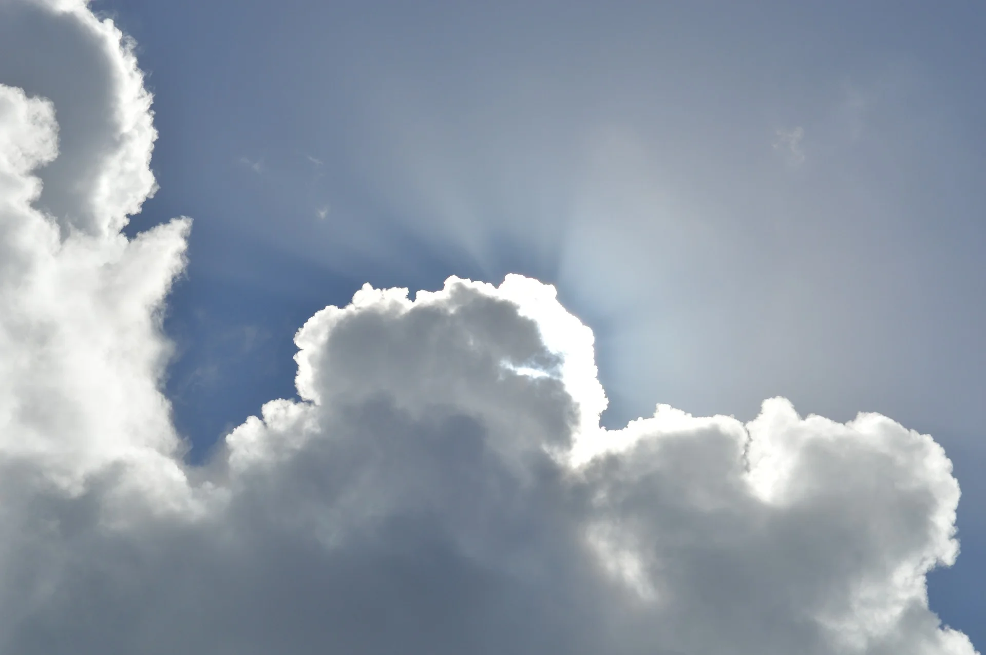 The sky's the limit - how to become your own boss in 2017