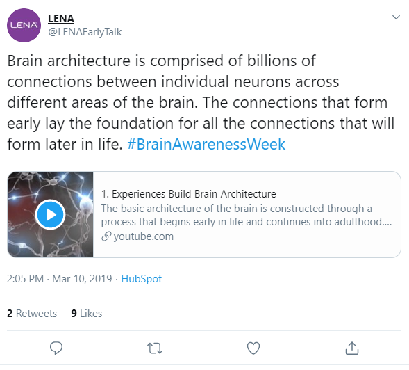 Brain-architecture.PNG