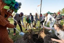 Annual Arbor Day Celebration
