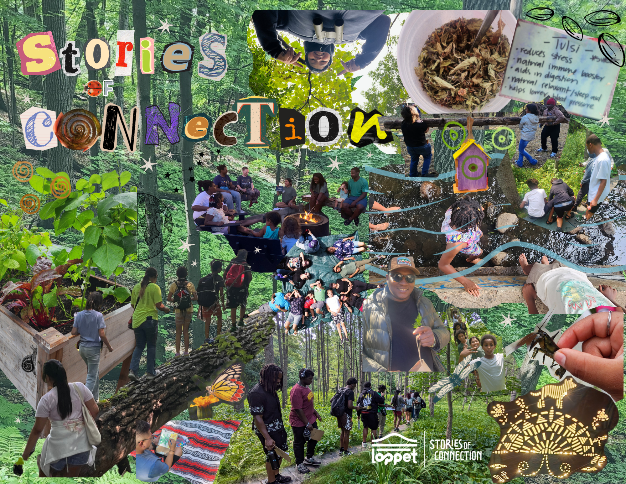 An Open Love Letter to the Northside