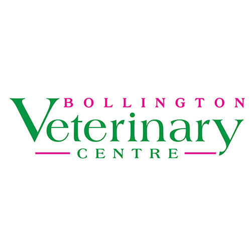 bollington vet 500sq.jpg