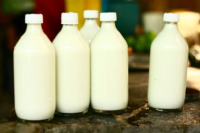 Atitlan Organics, Goat's Milk, Products, Permaculture, Permaculture Farm, Organic, Tzununa, Lake Atitlan, Guatemala, Central America, 