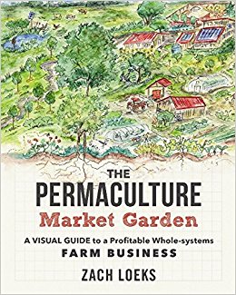 The Permaculture Market Garden, Atitlan Organics, Zach Loeks , Permaculture Design Certification Course, Permaculture, PDC, Tzununa, Lake Atitlan, Guatemala, Central America, Sustainability