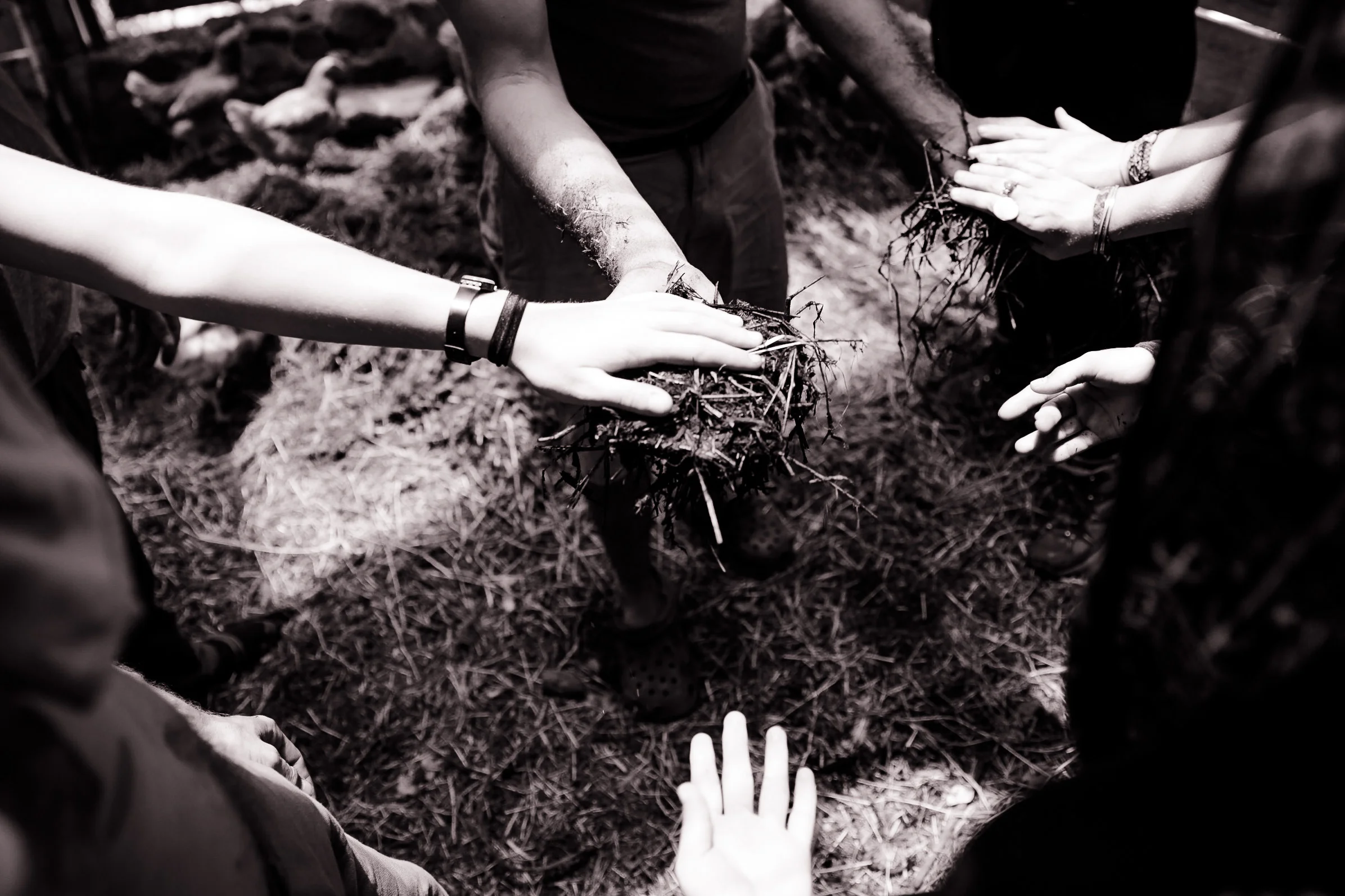 Atitlan Organics, Invisible Structure and Community-Based Alternatives, Permaculture Design Certification Course, PDC, sustainability, regenerative agriculture, Permaculture, Lake Atitlan, Tzununa, Guatemala, Central America
