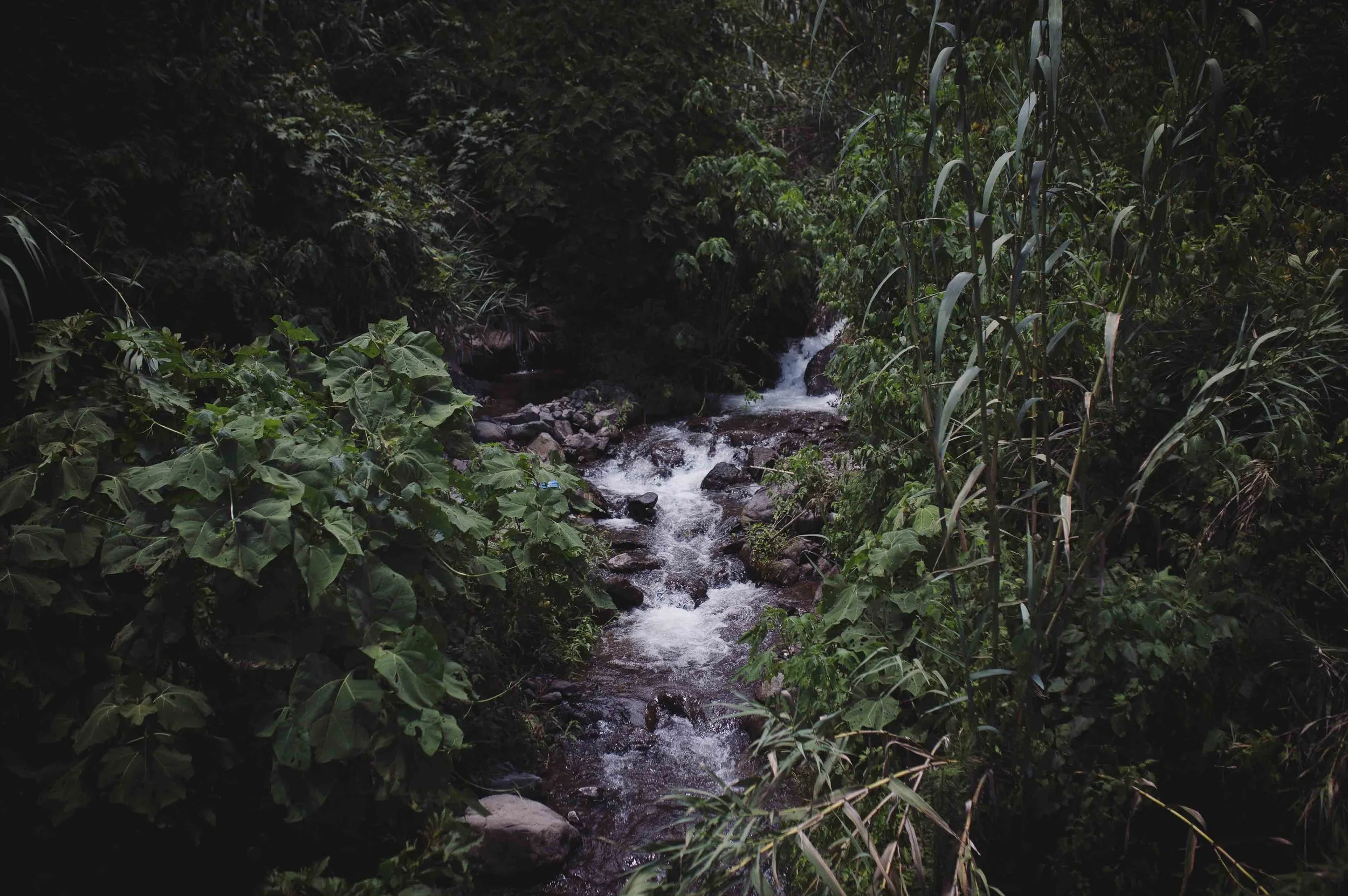 River, Atitlan Organics, Permaculture Design Certification Course, PDC, sustainability, regenerative agriculture, Permaculture, Lake Atitlan, Tzununa, Guatemala, Central America