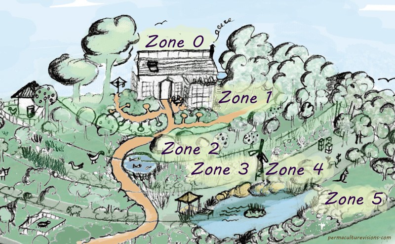 Image: Permaculture Visions