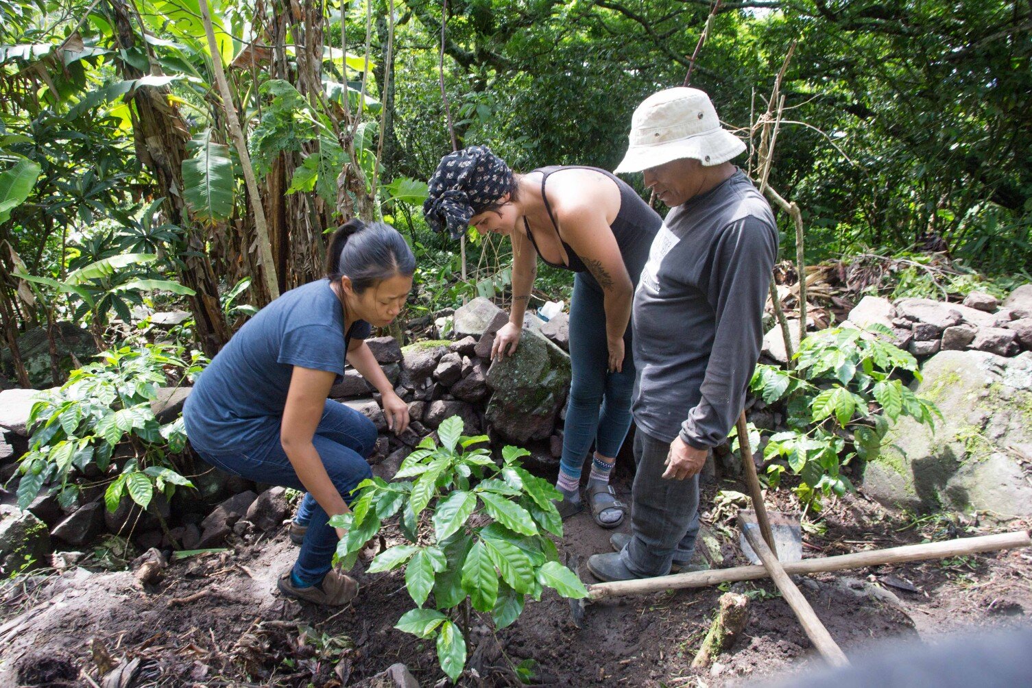 Food Forests: Practical Skills in Permaculture, a new Atitlan Organics Permaculture course February 2020 in Tziununa, Lake Atitlan, Guatemala