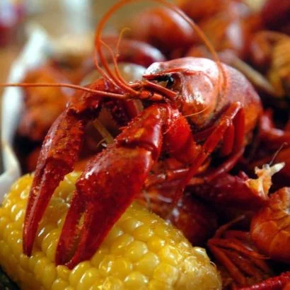 BFF Graduation Crawfish Party