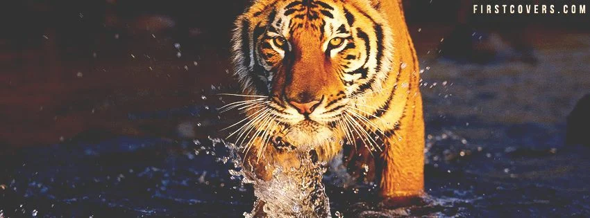 BHS 1997 Reunion