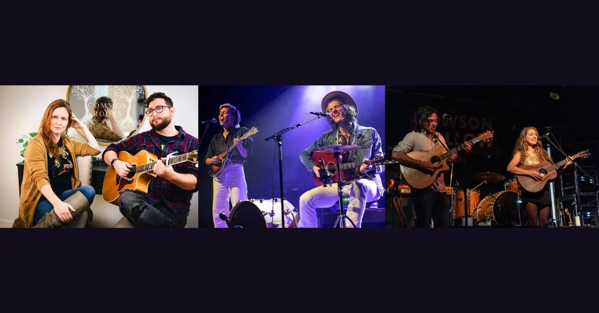 Falllift/Ashtyn Barbaree/Common Roots at Meteor Guitar Gallery 