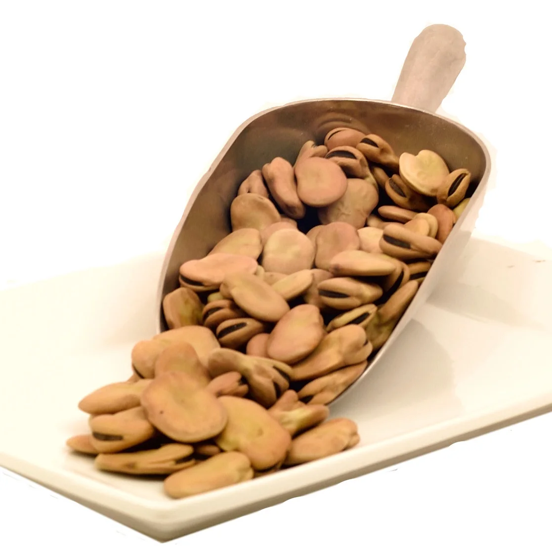 Chaves Dry Fava Beans