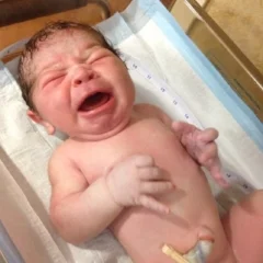 Brand new Maverick