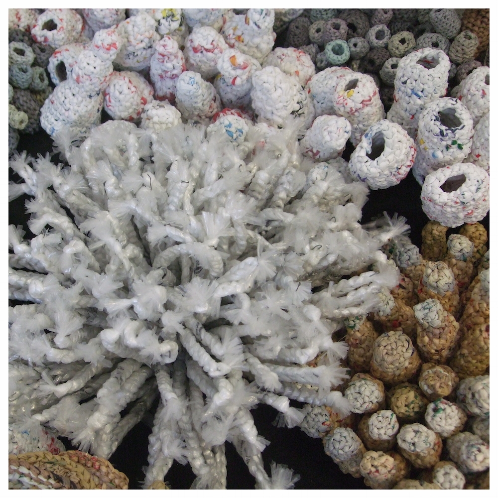Bag Coral (detail)