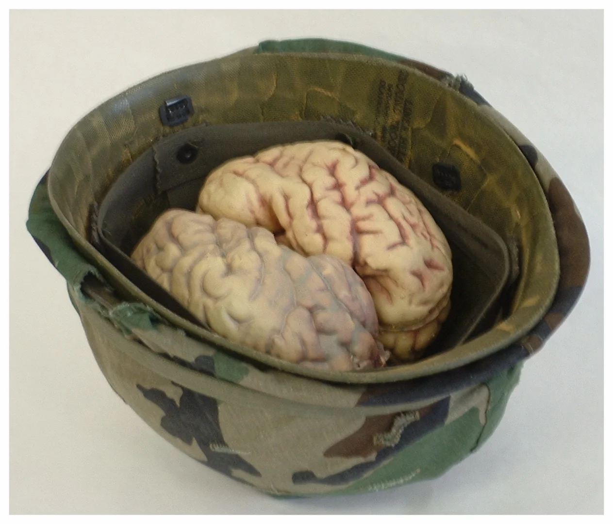 Bucket O' Brains  11x9x9