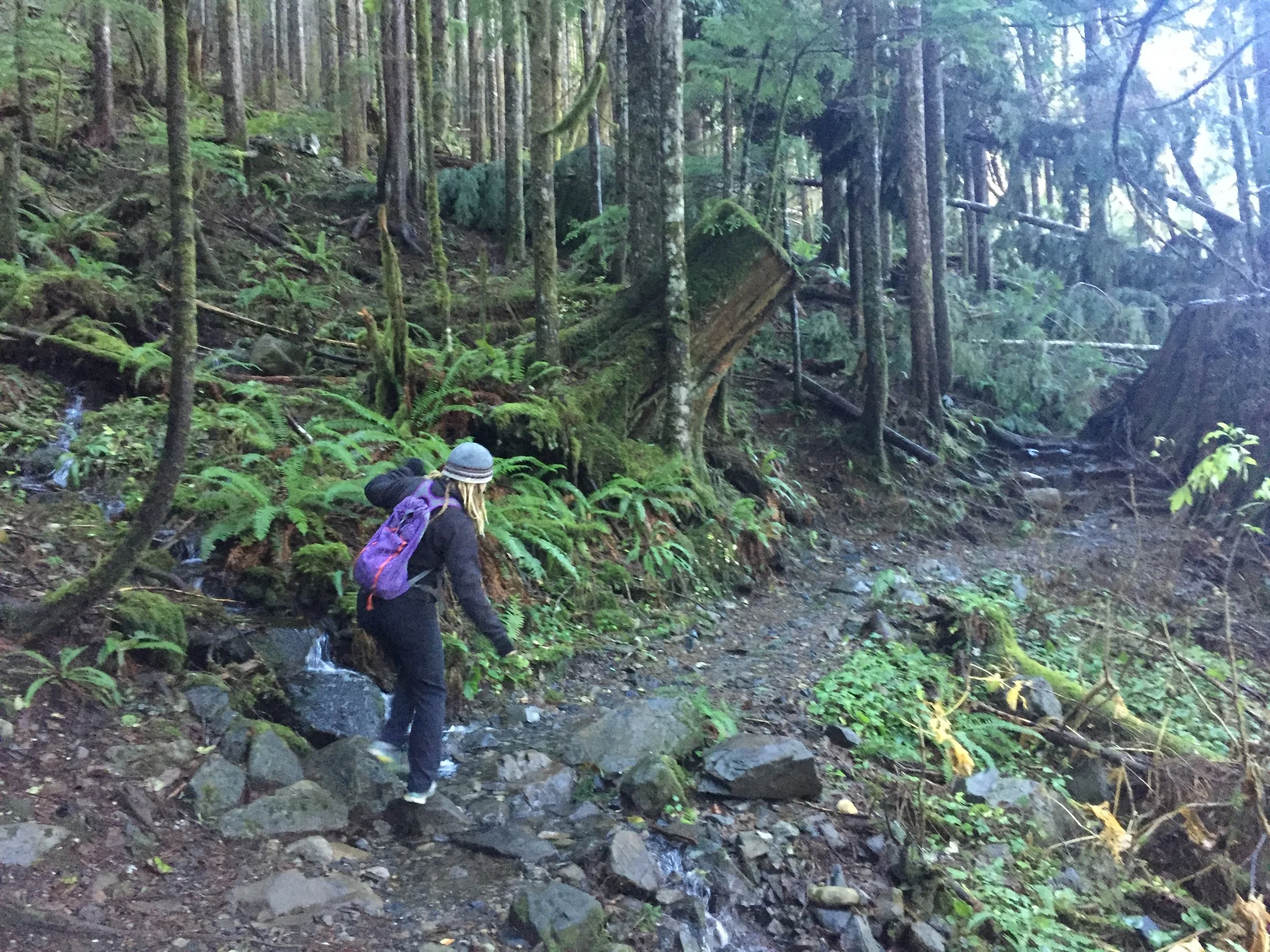 Rock hopping