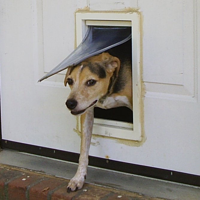 While I eat that Whopper you brought me, you'll want to slip in my door shoulders first to be able to fit.