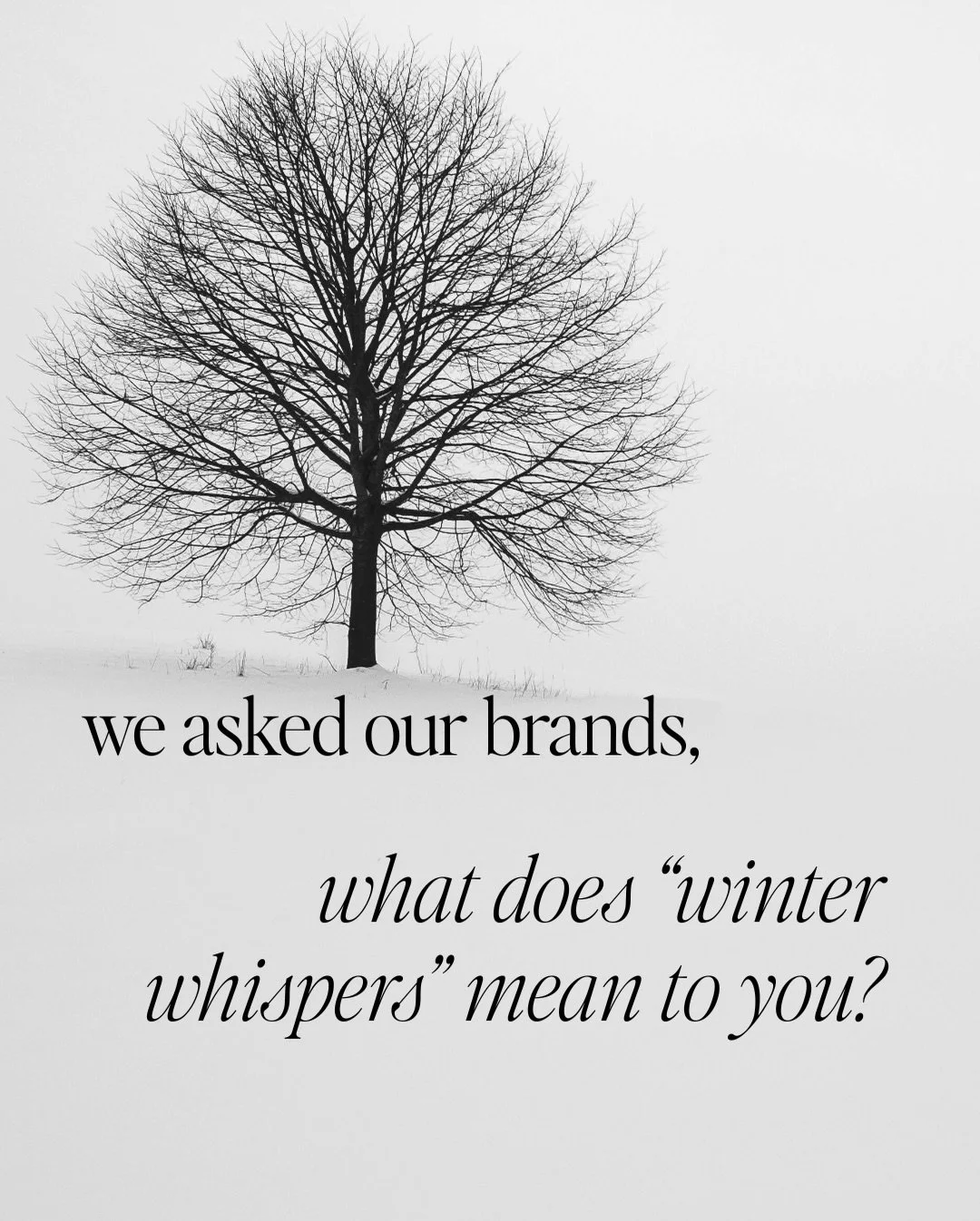 We ❤️❤️❤️ the makers, founders, owners who design the items in our seasonal collections. We get to know them or their teams, and I think that is what helps give our boxes a soul. 

We hear from customers all the time that the emotions they felt when 