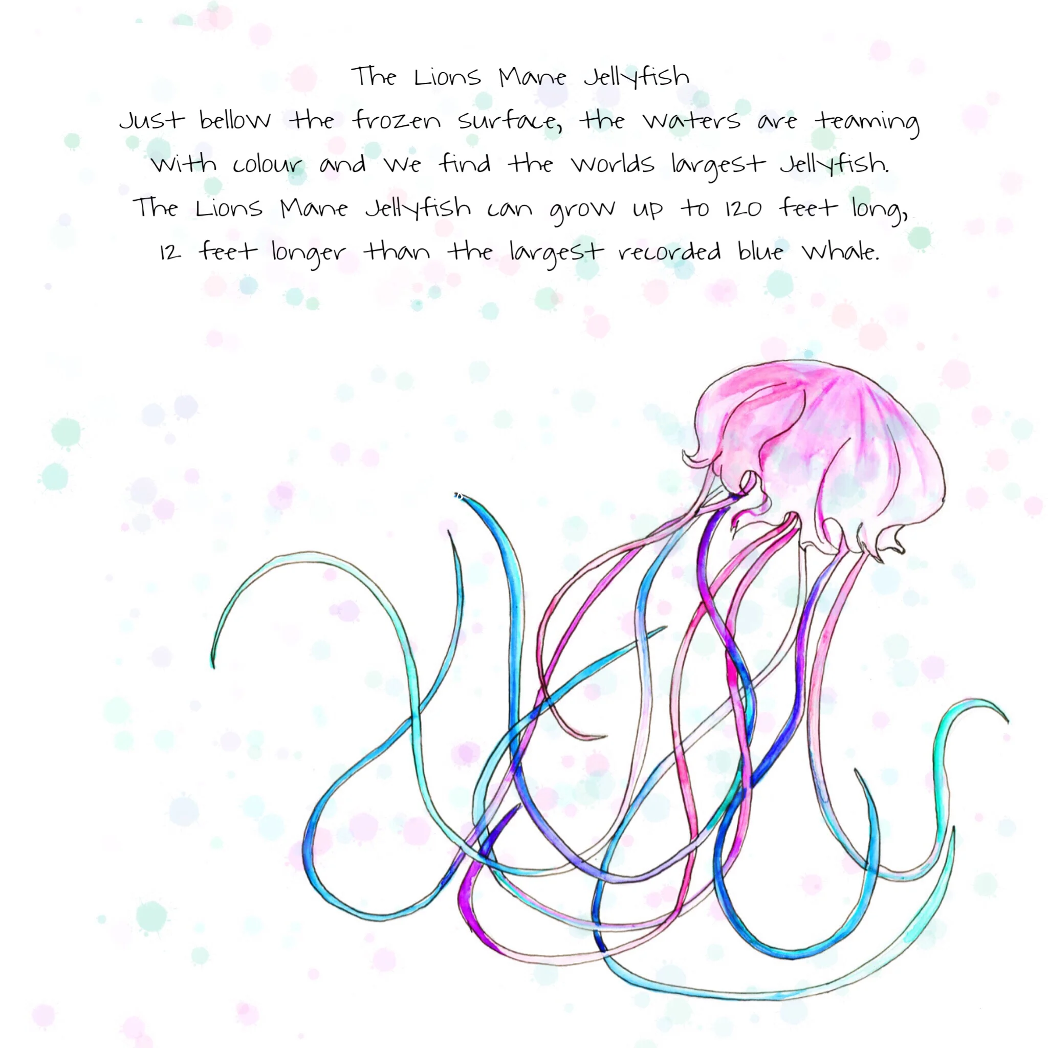 Lions Mane Jellyfish.jpg