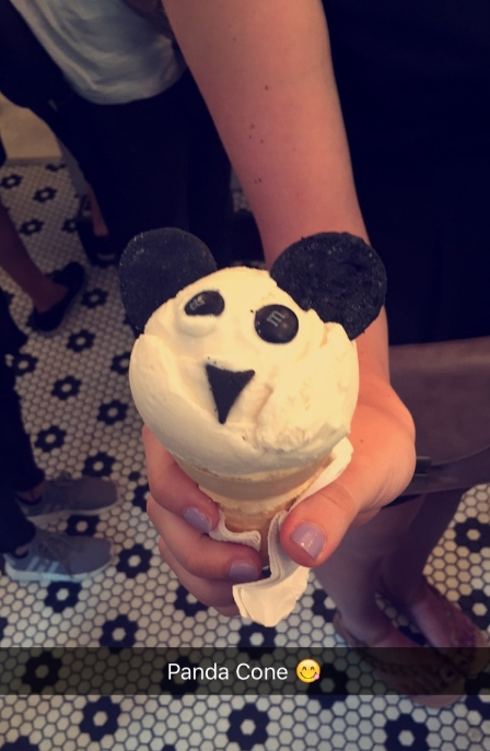 Panda Cone - this one seems to be stuggling in the eye area but you get the point. 