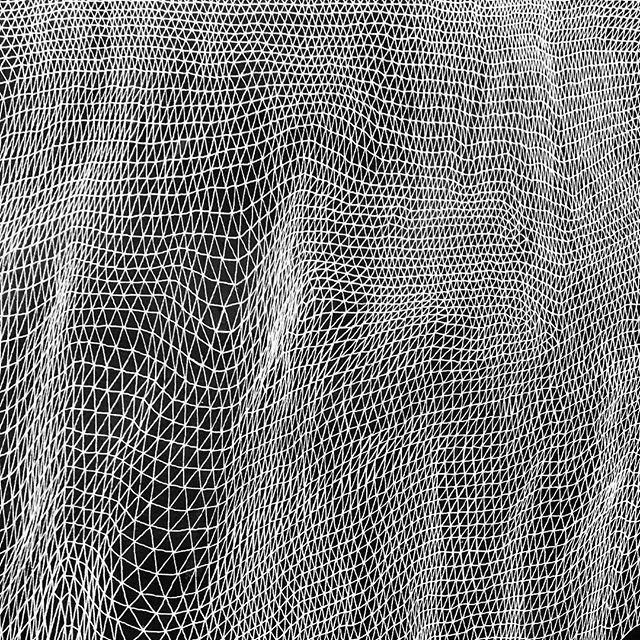 Net #tessellation #tessellate #triangle #art #brooklynart #artist #milkyway #firmament #stars #brooklynartist #nycart #nycartist #williamsburgartist #abstractart #abstractartpainting #abstractartist #lines #line #lineart #blackandwhiteart #mountains 