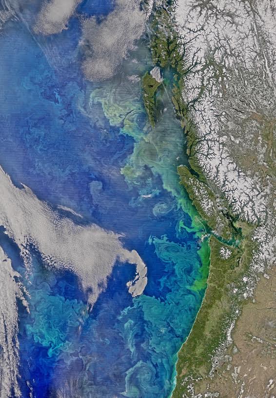 VIIRS Image , Courtesy of NASA