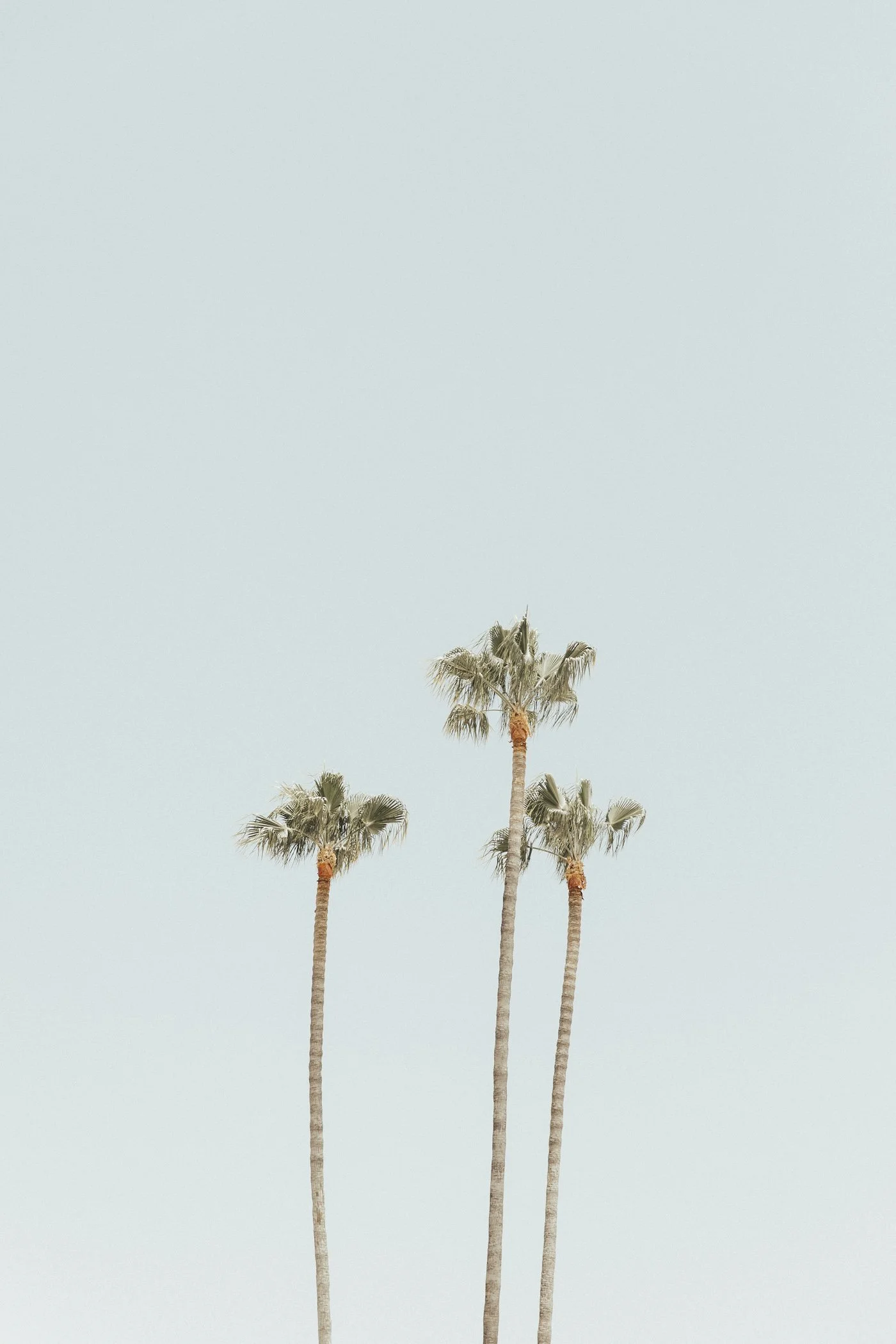 3PALMS_ElliLaurenPhoto_8869724A8869.jpg