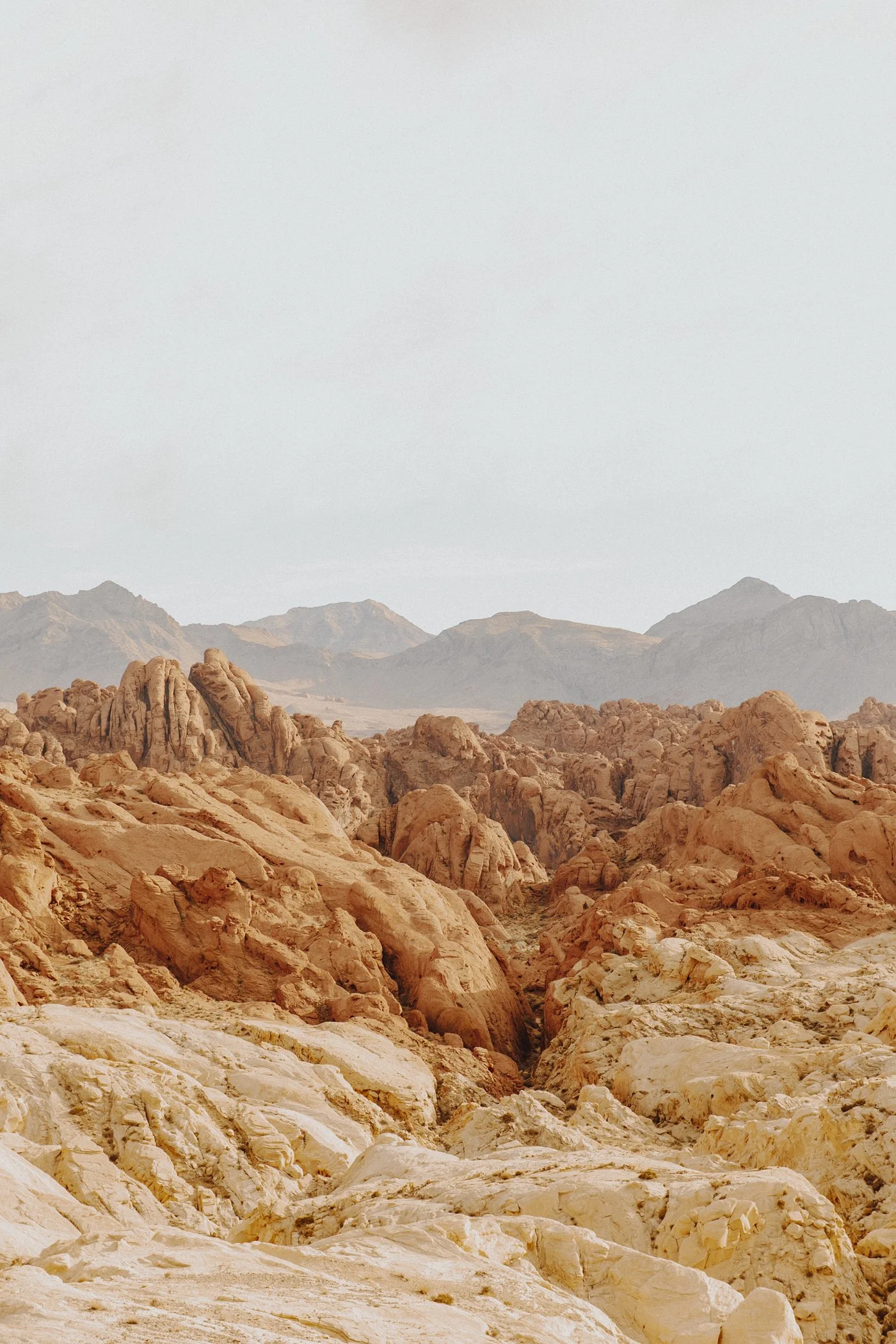 724A1269-Edit.jpg