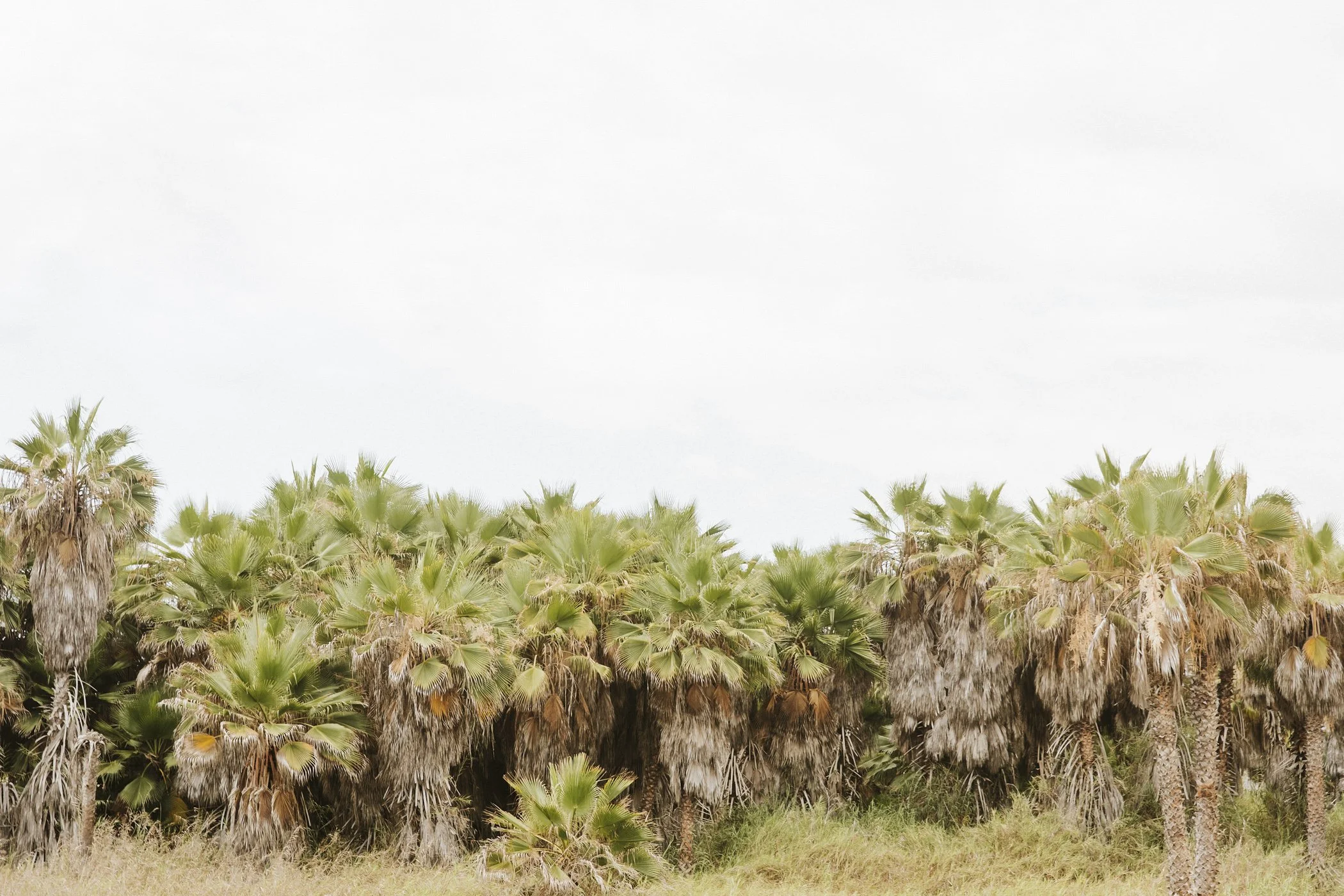 MEXICO_ElliLaurenPhoto_9555724A9555.jpg