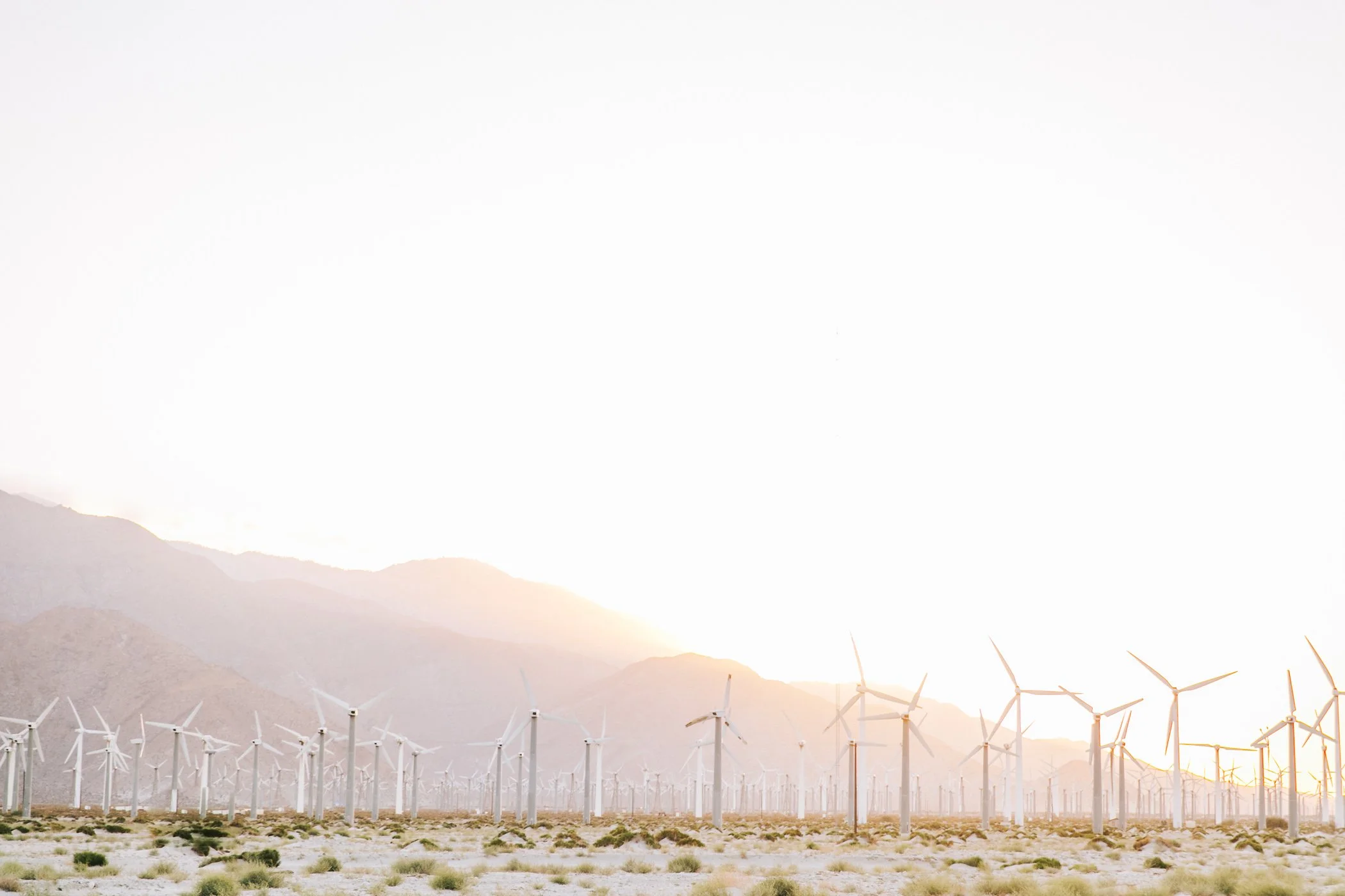 SB6A0412-Edit.jpg