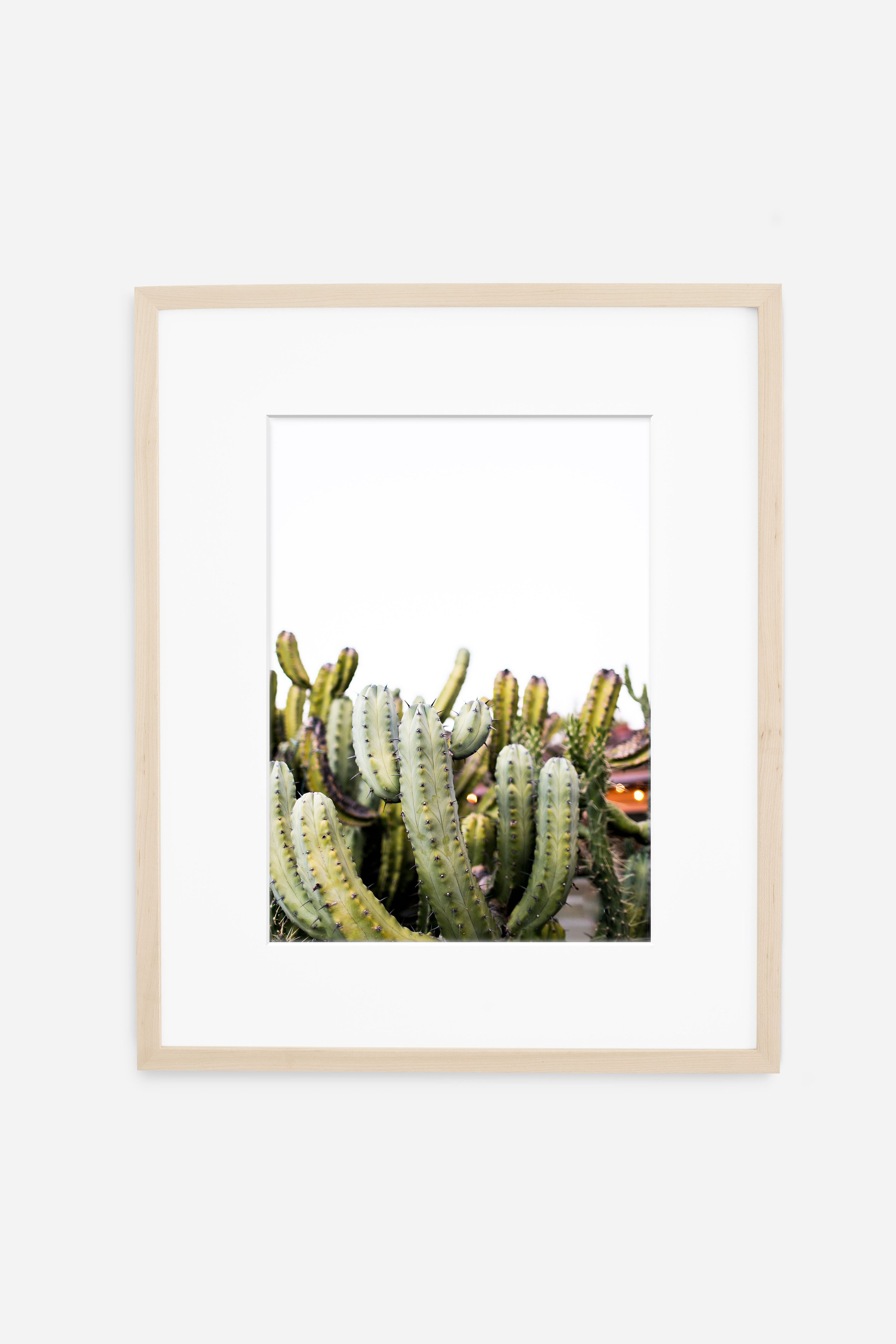 CACTI_NATURAL_.jpg