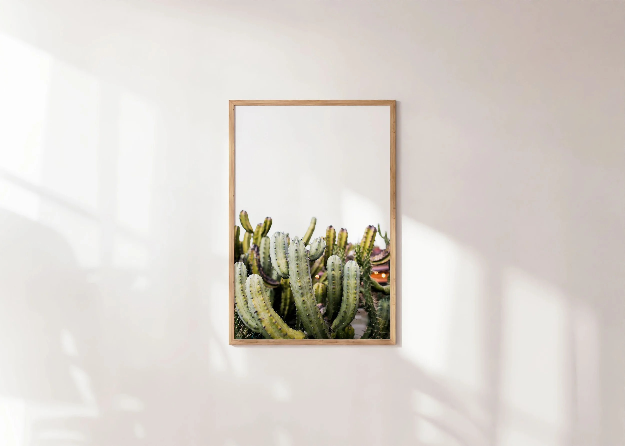 CACTI-SunlightRoom.jpg