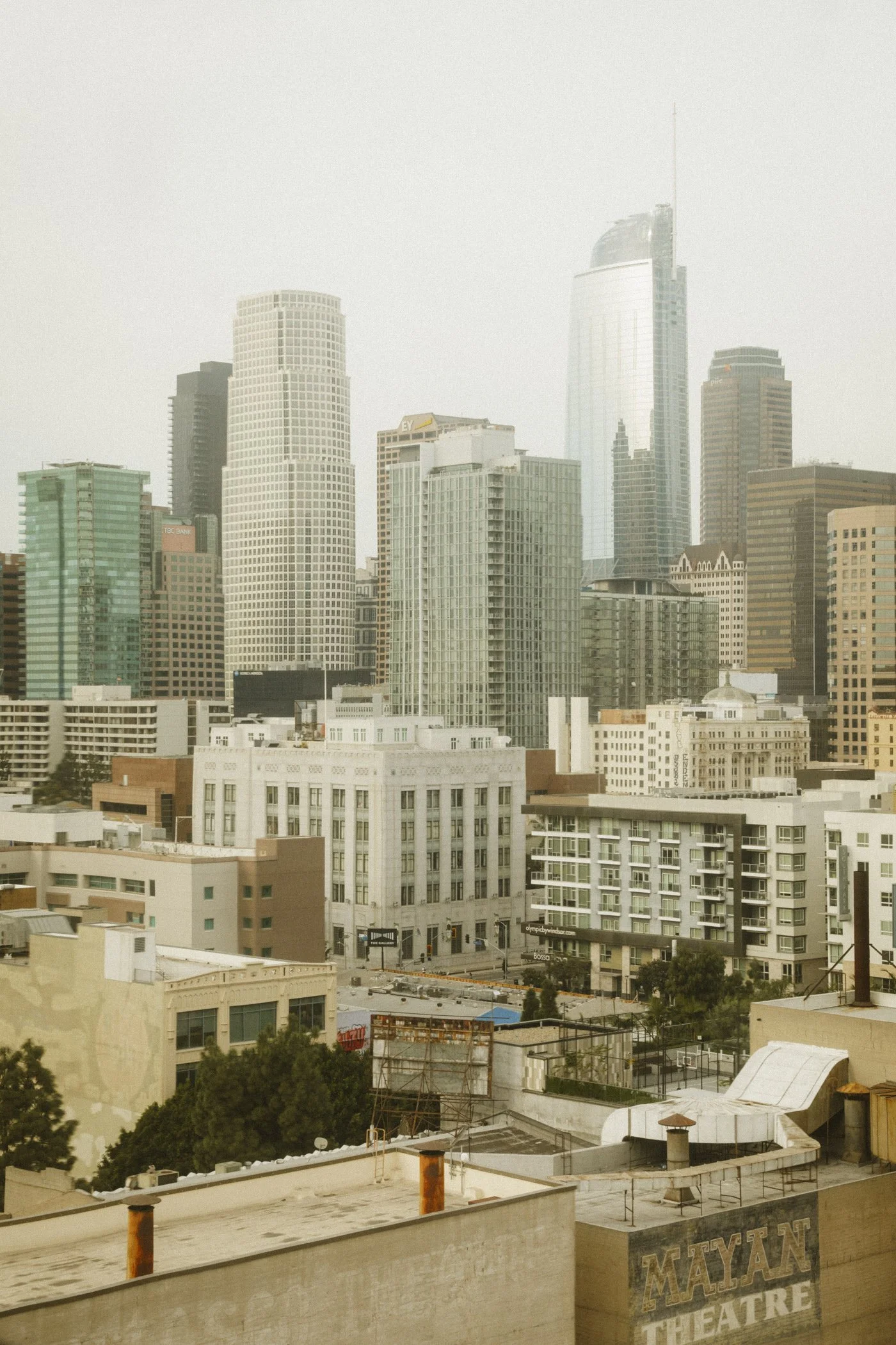 ProperDTLA-ElliLauren-009.jpg