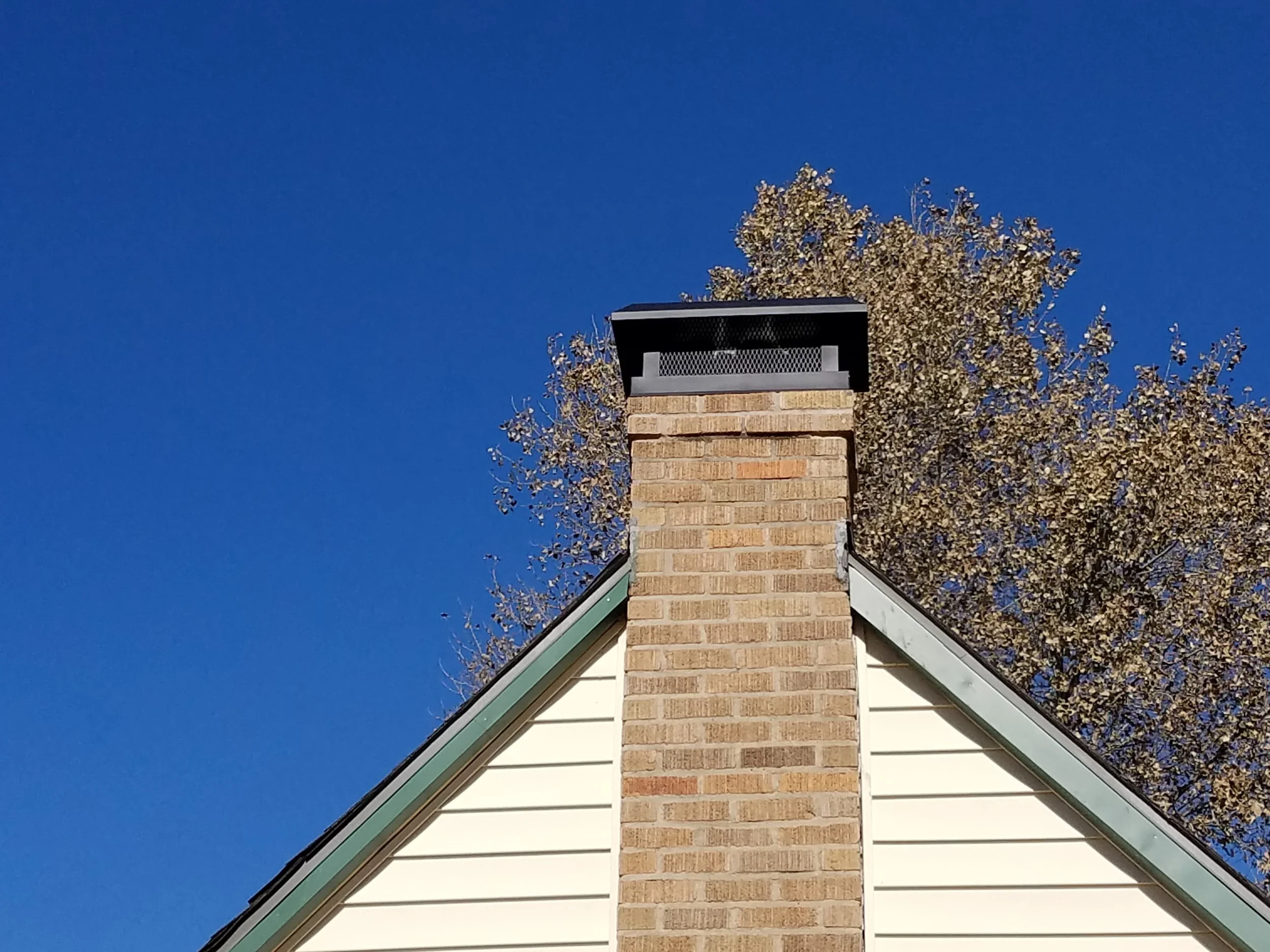 20181120_120641.jpg