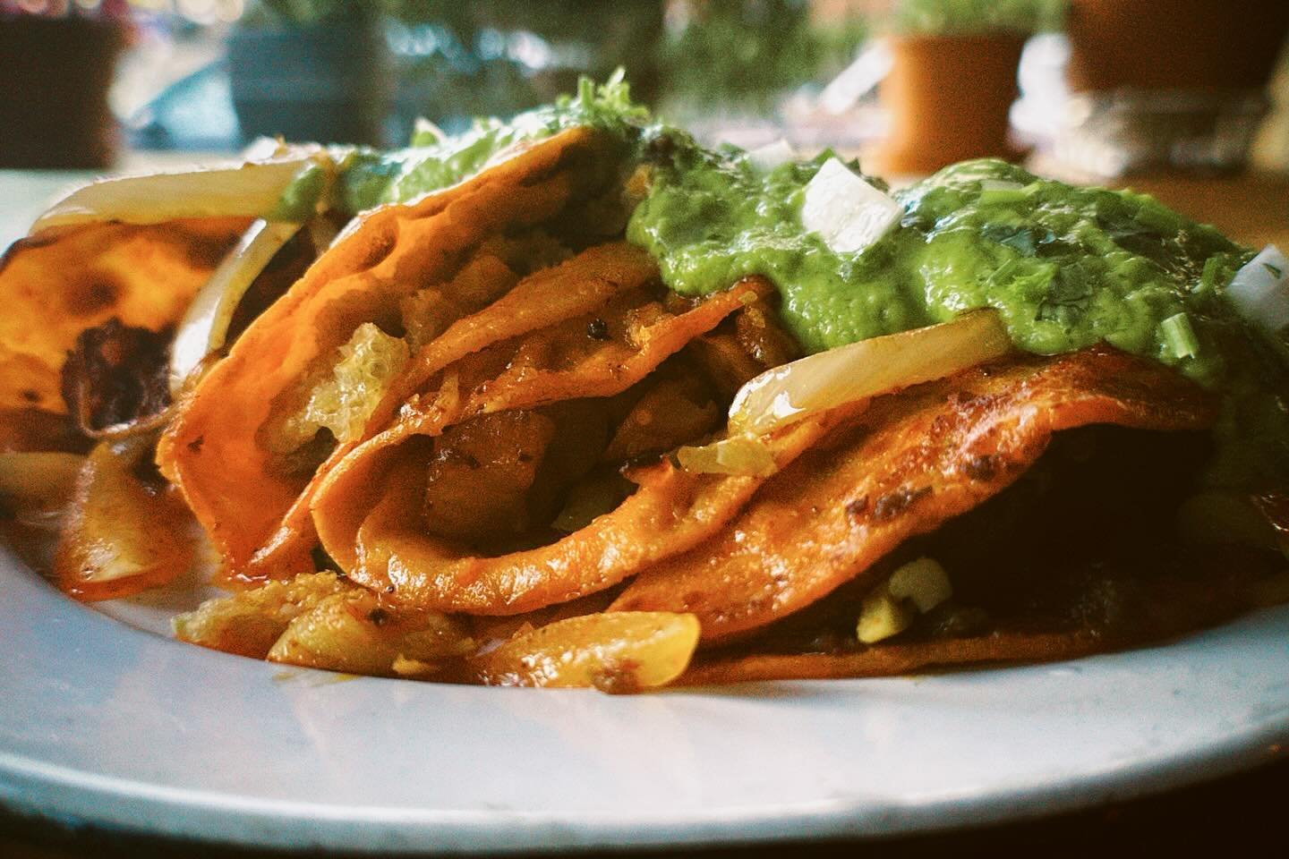 Tacos De Canasta #gordoscantina #authenicmexican #mexicanstreetfood #tacos #decanasta #baskettaco #steamedtaco #breakfast #brunch #offmenu #epspecial #daily #cincodemayo #bushwick #brooklyn #nyc #nymademexicoapproved