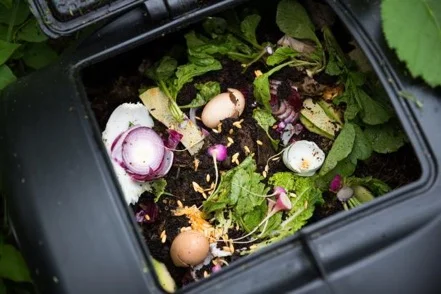 Photo via https://www.diynetwork.com/how-to/outdoors/gardening/organic-compost-