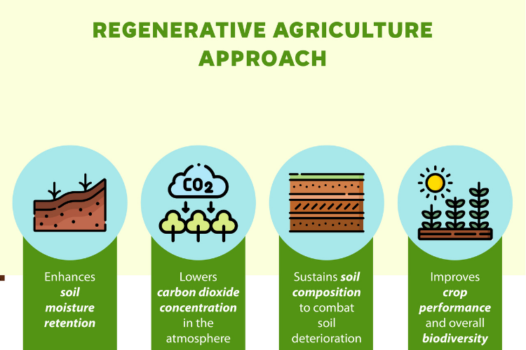 What is Regenerative Agriculture? Regenerative Agriculture 101