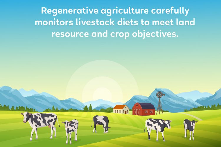 What is Regenerative Agriculture? Regenerative Agriculture 101